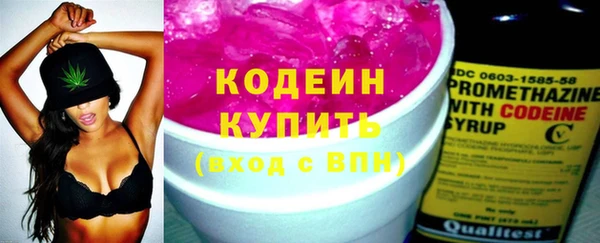 шишки Володарск